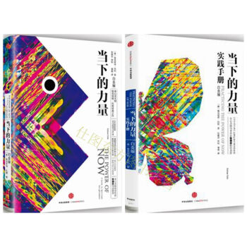 当下的力量+当下的力量实践手册(精)（套装全2册）张德芬推荐！埃克哈特?托利经典之作 pdf epub mobi 电子书 下载
