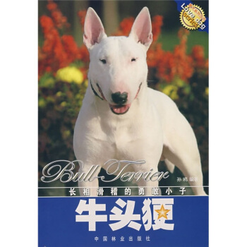 牛頭(犭更):長相滑稽的勇敢小子