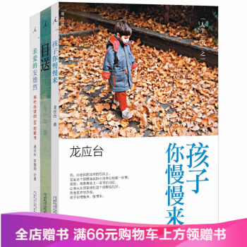 包邮 龙应台人生三书全3册套装 孩子你慢慢来+亲爱的安德烈+目送 龙应台 文学 书 pdf epub mobi 电子书 下载