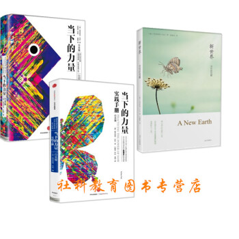 埃剋哈特·托利作品（共三冊）新世界:靈性的覺醒+當下的力量+當下的力量實踐手冊（白金版） pdf epub mobi 電子書 下載