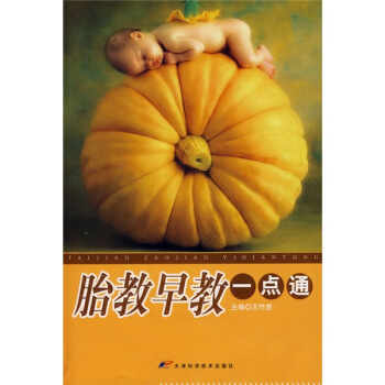 胎教早教一點通 pdf epub mobi 電子書 下載