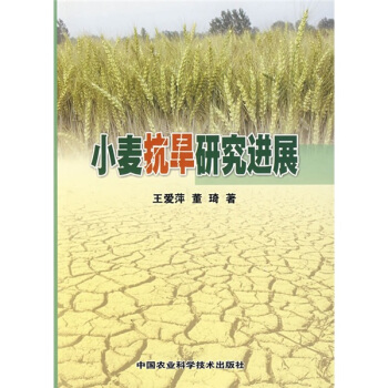小麥抗旱研究進展