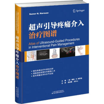 超声引导疼痛介入治疗图谱 pdf epub mobi 电子书 下载