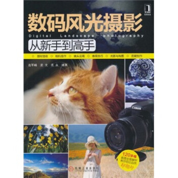 数码风光摄影从新手到高手 pdf epub mobi 电子书 下载