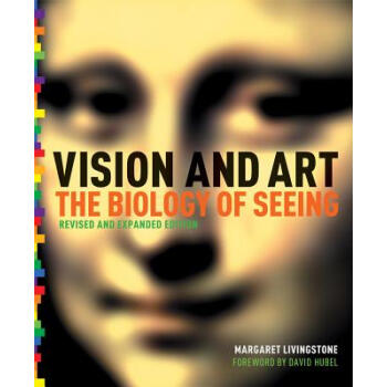 【预订】Vision and Art (Updated and Expande pdf epub mobi 电子书 下载
