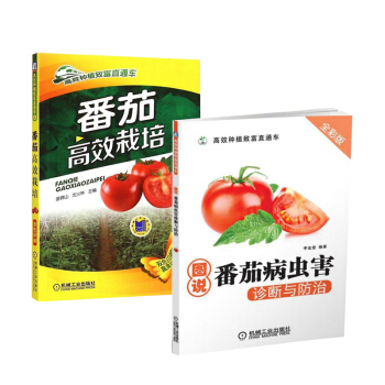 包邮 番茄栽培+图说番茄病虫害诊断与防治 番茄种植技术 西红柿洋柿子栽培技术大全 pdf epub mobi 电子书 下载
