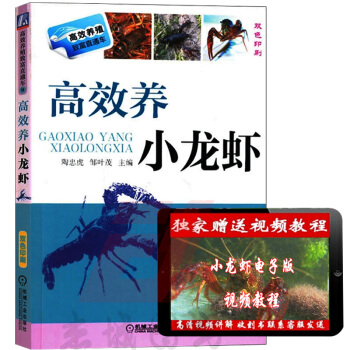 高效養小龍蝦 高效養殖緻富直通車 小龍蝦養殖技術大全教程書籍水産養殖書龍蝦養殖業 pdf epub mobi 電子書 下載