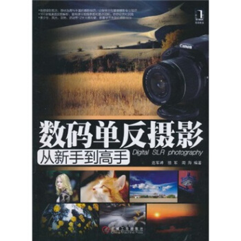 數碼單反攝影從新手到高手 pdf epub mobi 電子書 下載