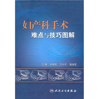 妇产科手术难点与技巧图解 pdf epub mobi 电子书 下载