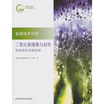 二氧化碳的捕集與封存：碳減排的關鍵選擇 pdf epub mobi 電子書 下載