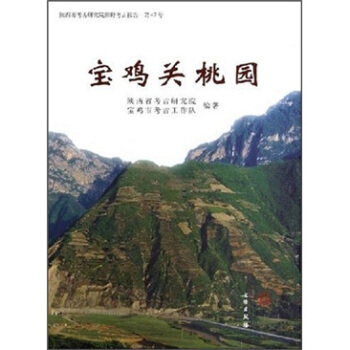 陝西省考古研究院田野考古報告（第47號）：寶雞關桃園 [GUANTAOYUAN AT BAOJI] pdf epub mobi 電子書 下載