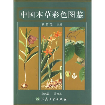 中国本草彩色图鉴：草药篇（第4卷） pdf epub mobi 电子书 下载