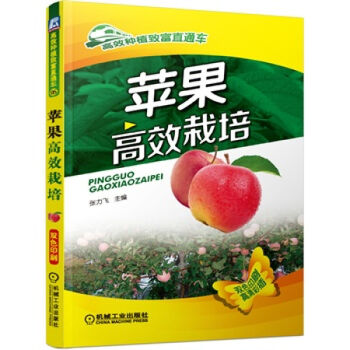 苹果高效栽培 苹果树高效种植技术教程书籍 果树种植书籍