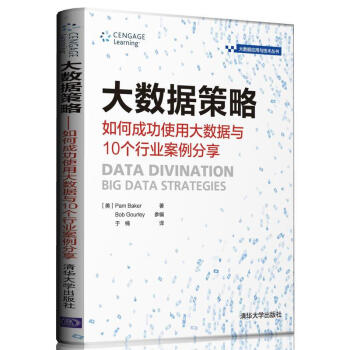 大數據策略