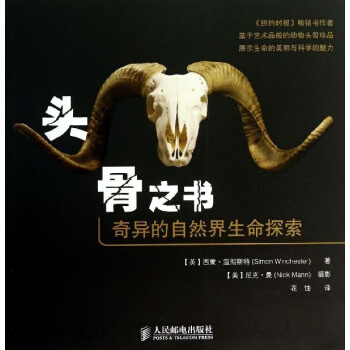 頭骨之書 pdf epub mobi 電子書 下載