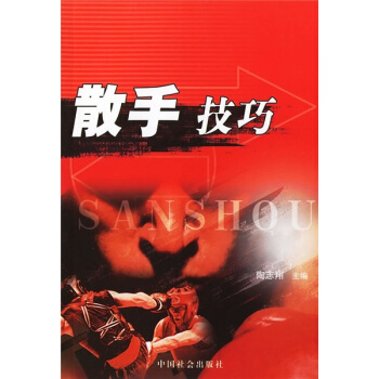 散手技巧 pdf epub mobi 电子书 下载