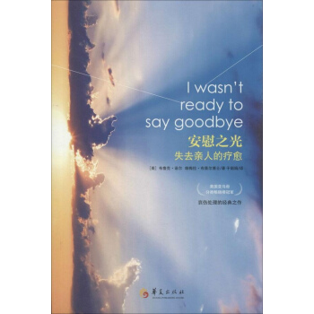 安慰之光 pdf epub mobi 电子书 下载