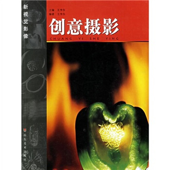 新視覺影像：創意攝影 pdf epub mobi 電子書 下載