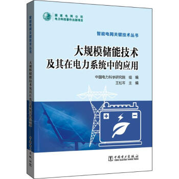 大规模储能技术及其在电力系统中的应用 pdf epub mobi 电子书 下载