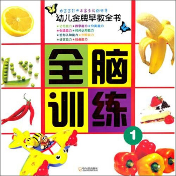 幼儿金牌早教全书:全脑训练1