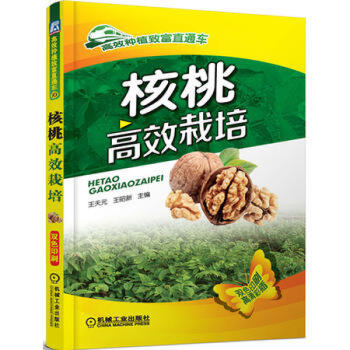 核桃种植书籍 核桃栽培与病虫害防治技术 核桃高效栽培(双彩印刷) 种核桃书籍教程 pdf epub mobi 电子书 下载
