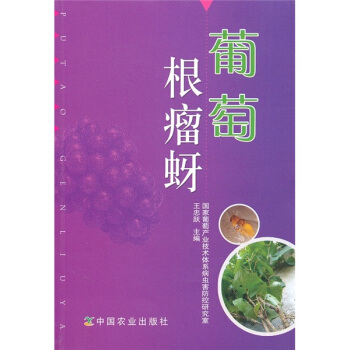 葡萄根瘤蚜 pdf epub mobi 电子书 下载