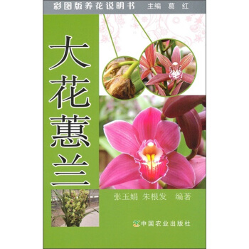大花蕙兰 pdf epub mobi 电子书 下载
