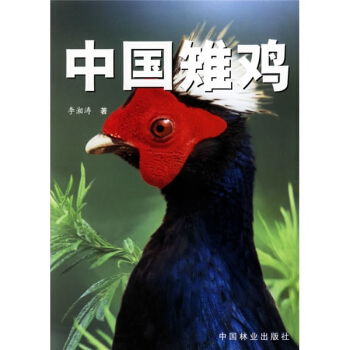 中國雉雞