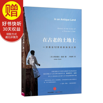 在古老的土地上:一次抵达12世纪的埃及之旅 中信出版社