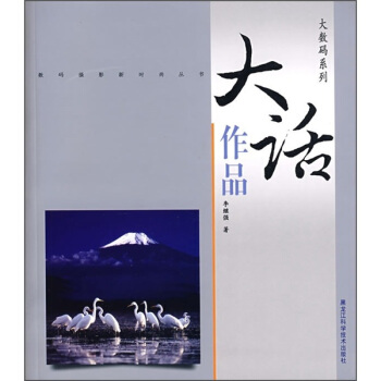 大数码系列：大话作品 pdf epub mobi 电子书 下载