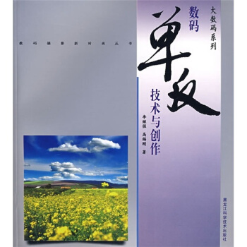 大数码系列：数码单反技术与创作 pdf epub mobi 电子书 下载
