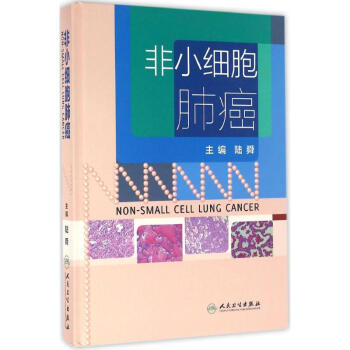 非小细胞肺癌 pdf epub mobi 电子书 下载