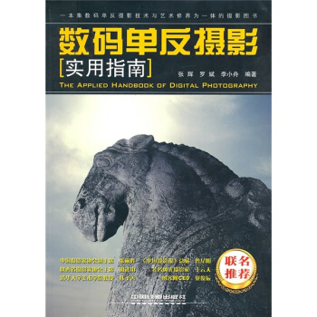 数码单反摄影实用指南 pdf epub mobi 电子书 下载