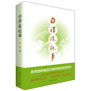 白洋澱紀事 pdf epub mobi 電子書 下載
