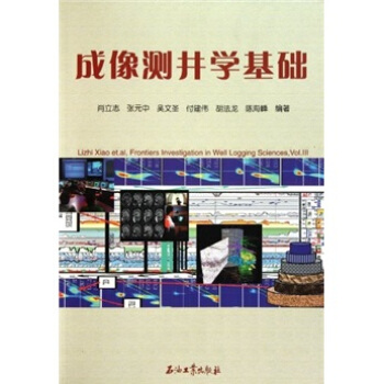 成像測井學基礎 pdf epub mobi 電子書 下載