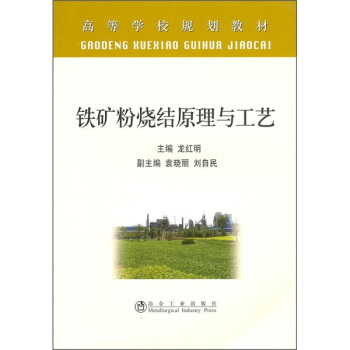 高等学校规划教材：铁矿粉烧结原理与工艺 pdf epub mobi 电子书 下载