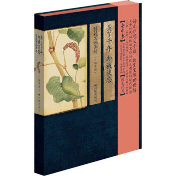 美了千年,却被淡忘 pdf epub mobi 电子书 下载