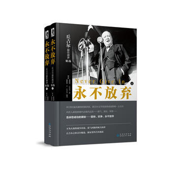 不放弃 pdf epub mobi 电子书 下载