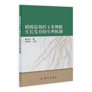 硝酸鹽調控玉米側根生長發育的生理機製