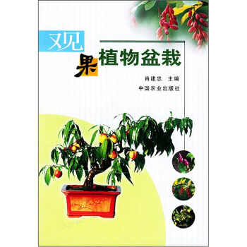 觀果植物盆栽 pdf epub mobi 電子書 下載