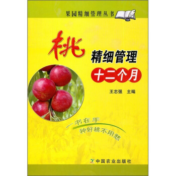 桃精細管理十二個月 pdf epub mobi 電子書 下載