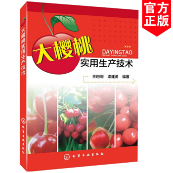 大樱桃实用生产技术 樱桃标准化栽培技术大全书籍 大樱桃高效栽培关键技术书籍 花果管理及病 pdf epub mobi 电子书 下载
