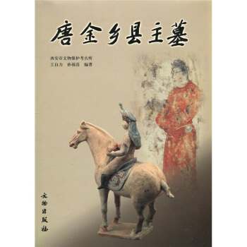 唐金乡县主墓 pdf epub mobi 电子书 下载