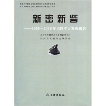 新密新砦：1999-2000年田野考古发掘报告 [Xinzhai Site in Xinmi] pdf epub mobi 电子书 下载