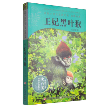 动物小说大王沈石溪：王妃黑叶猴 [11-14岁] pdf epub mobi 电子书 下载