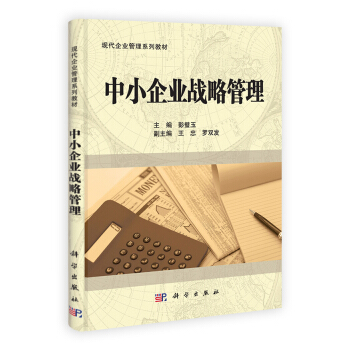 中小企业战略管理 pdf epub mobi 电子书 下载
