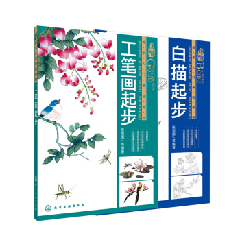美术入门基础教程 白描起步+工笔画起步 张恒国著 工笔画教程书籍 美术工笔画书籍 国画初 pdf epub mobi 电子书 下载