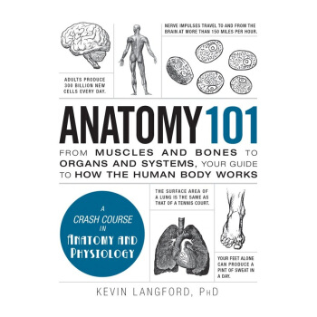 101系列：解剖学 英文原版 Anatomy 101 Kevin Langford PHD pdf epub mobi 电子书 下载