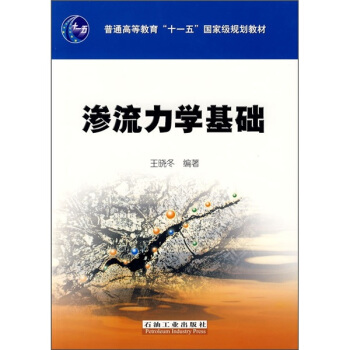 渗流力学基础 pdf epub mobi 电子书 下载
