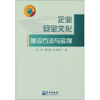 企业安全文化建设方法与实例 pdf epub mobi 电子书 下载